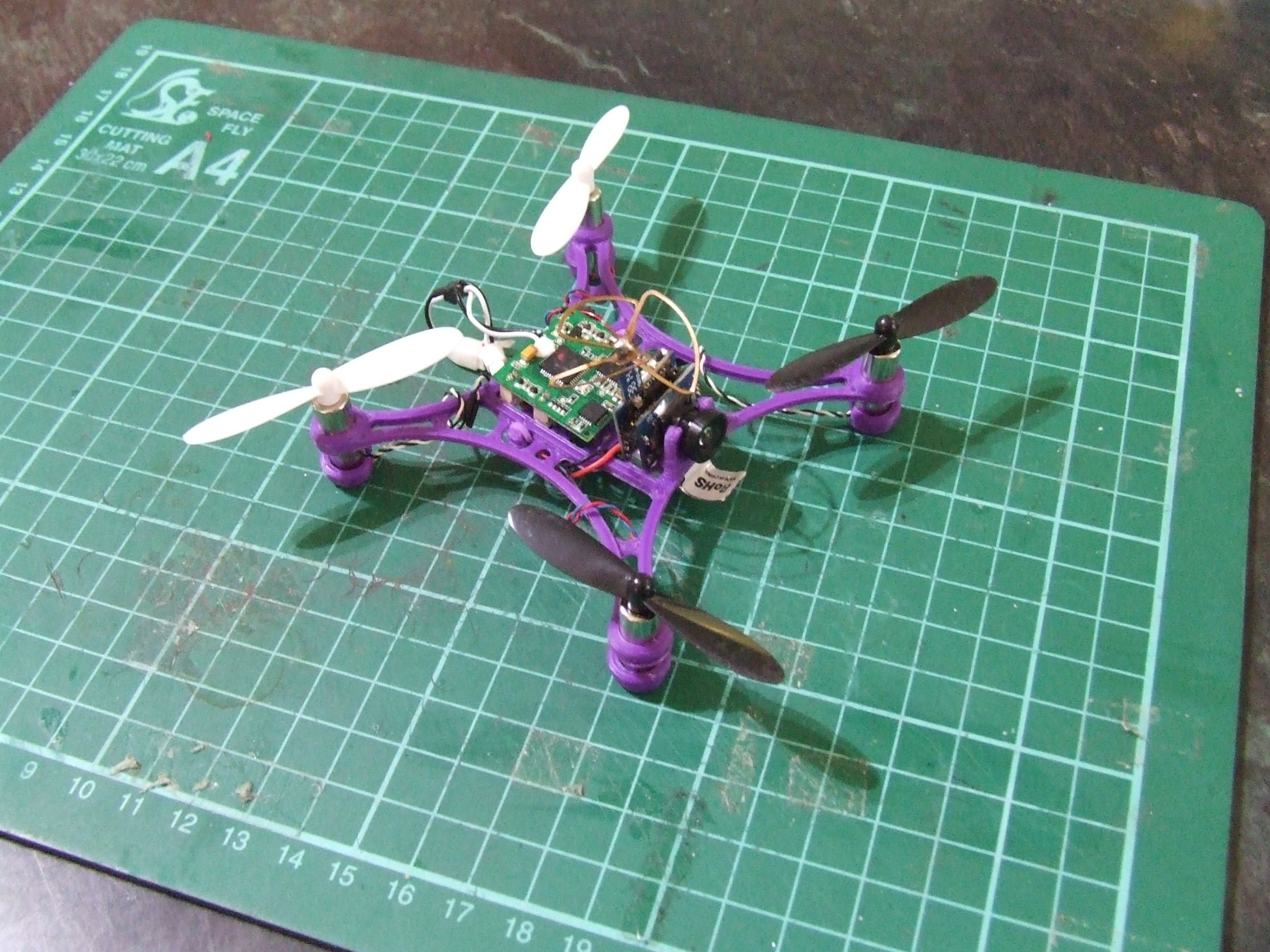 Gnat QX
