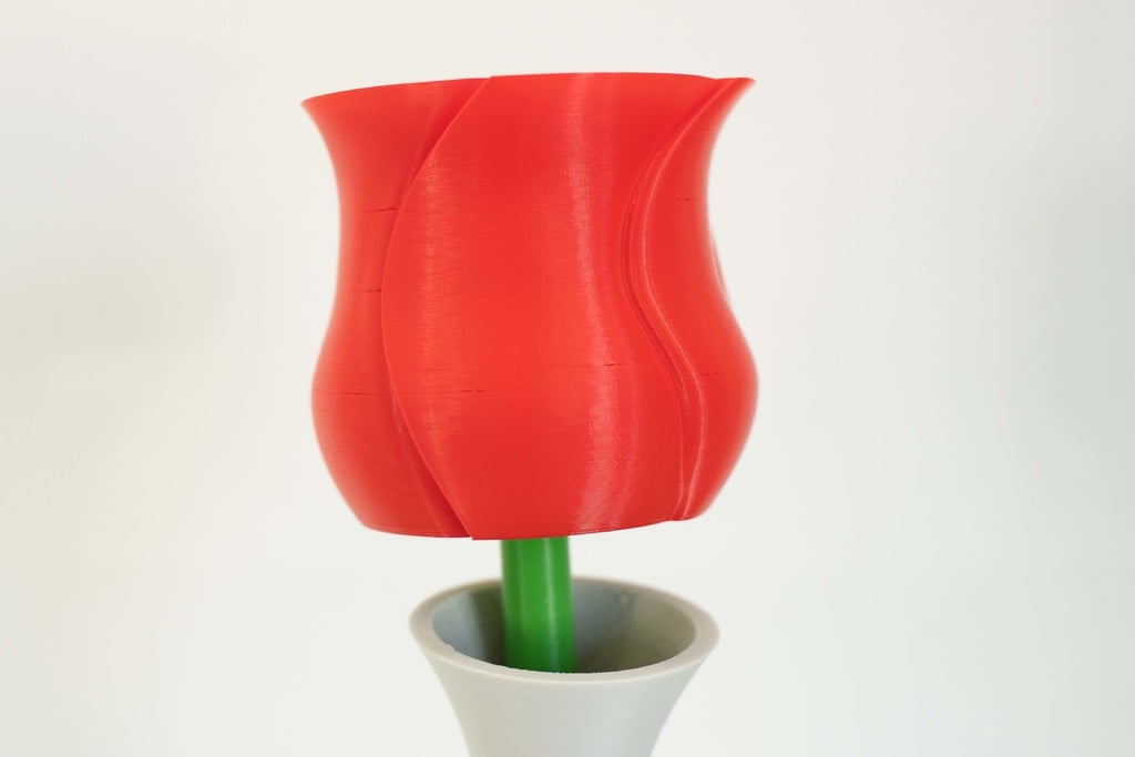 Spiral Vase Rose With modular Stem