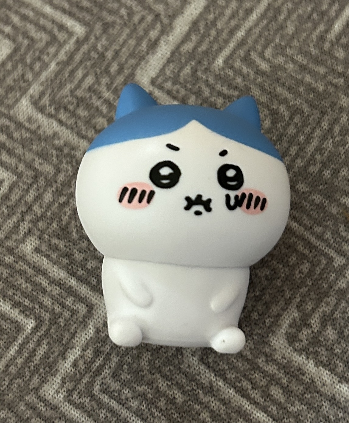 big head cat