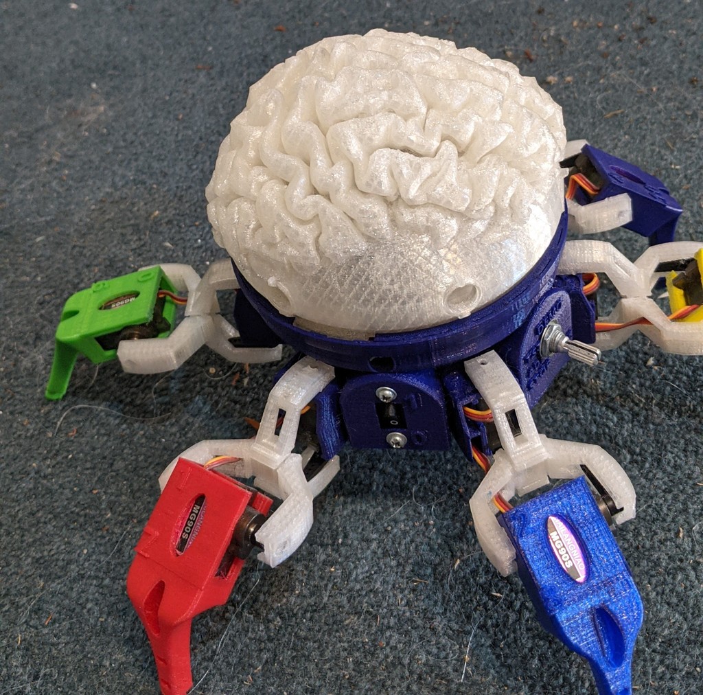 Vorpal Brain