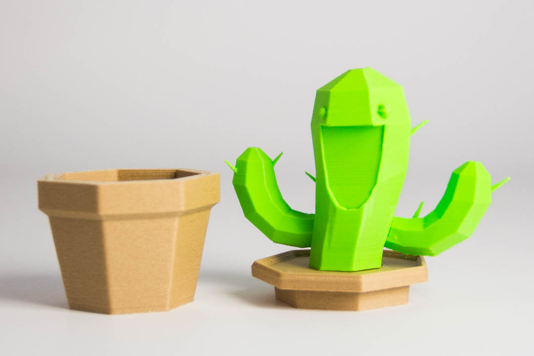 Smiling Cactus Container