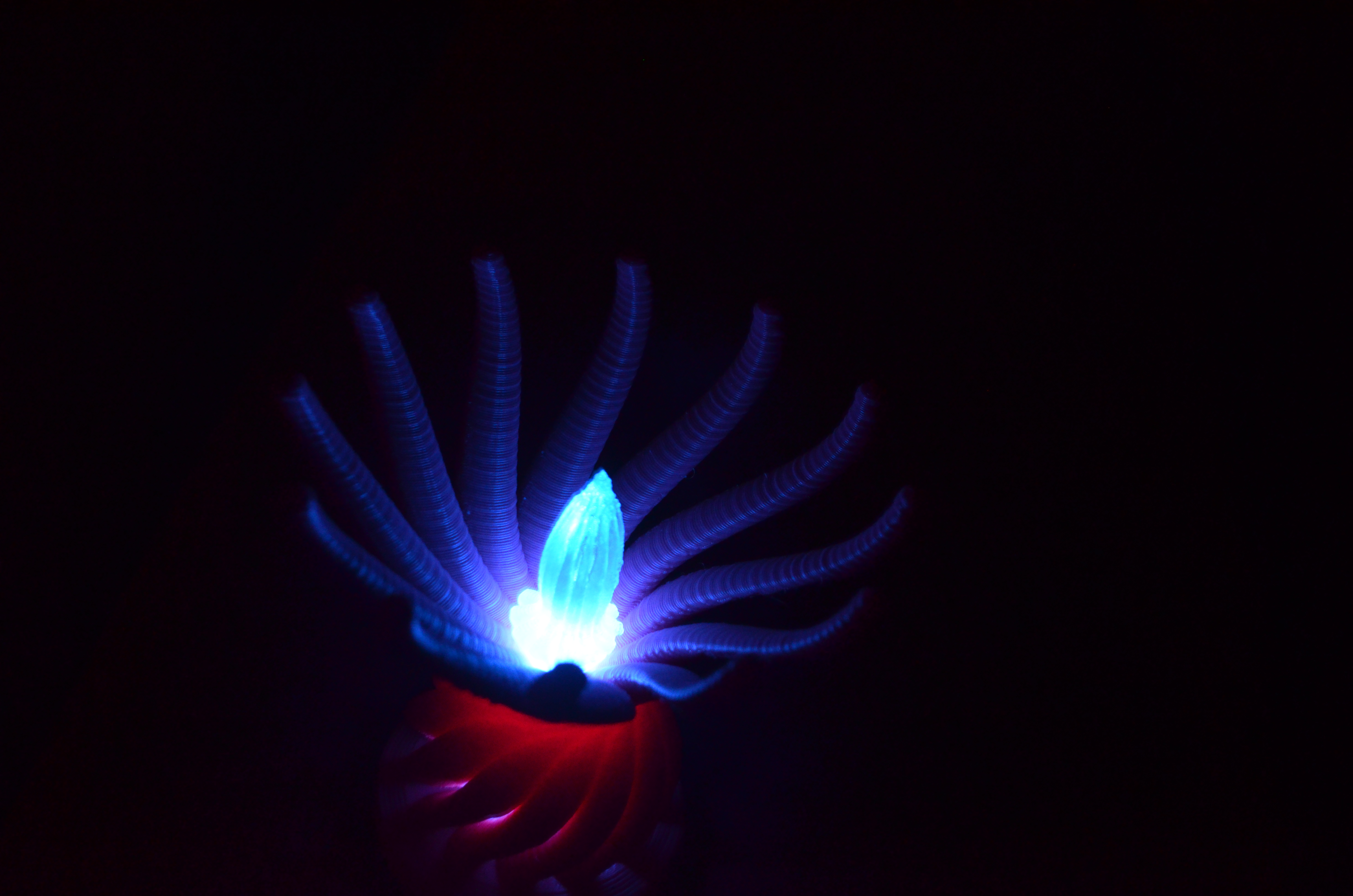 Nightlight Tree