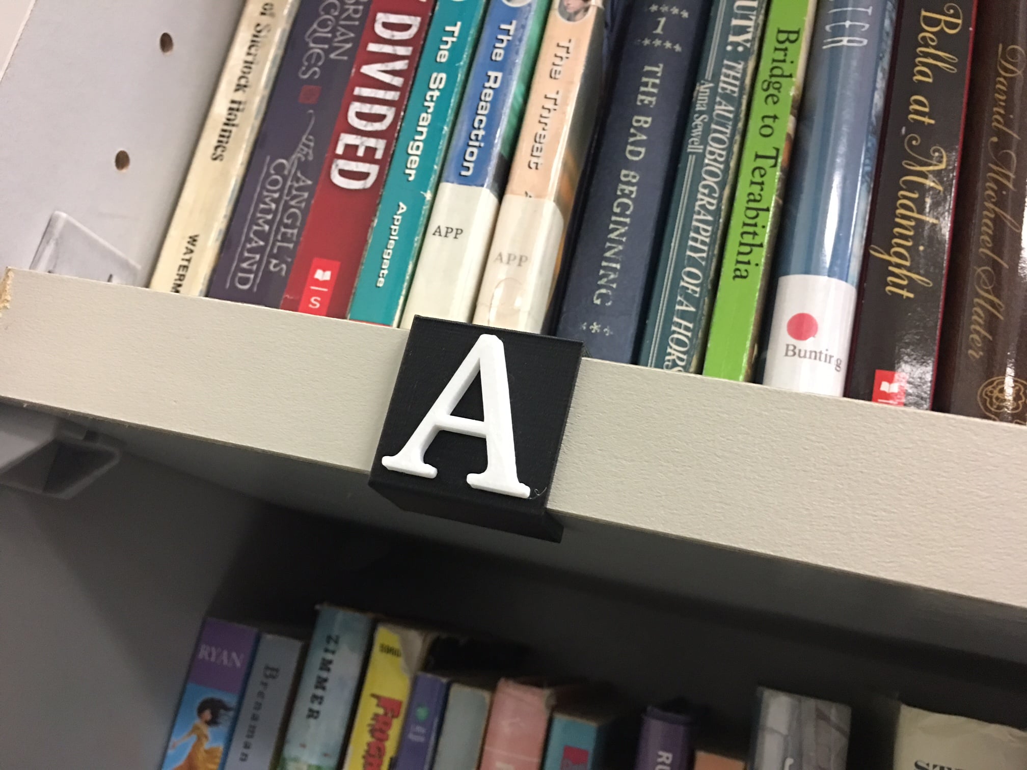 Classroom Library Shelf Clips