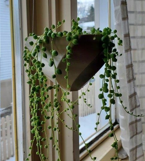 Spyramid Planter (Hanging)