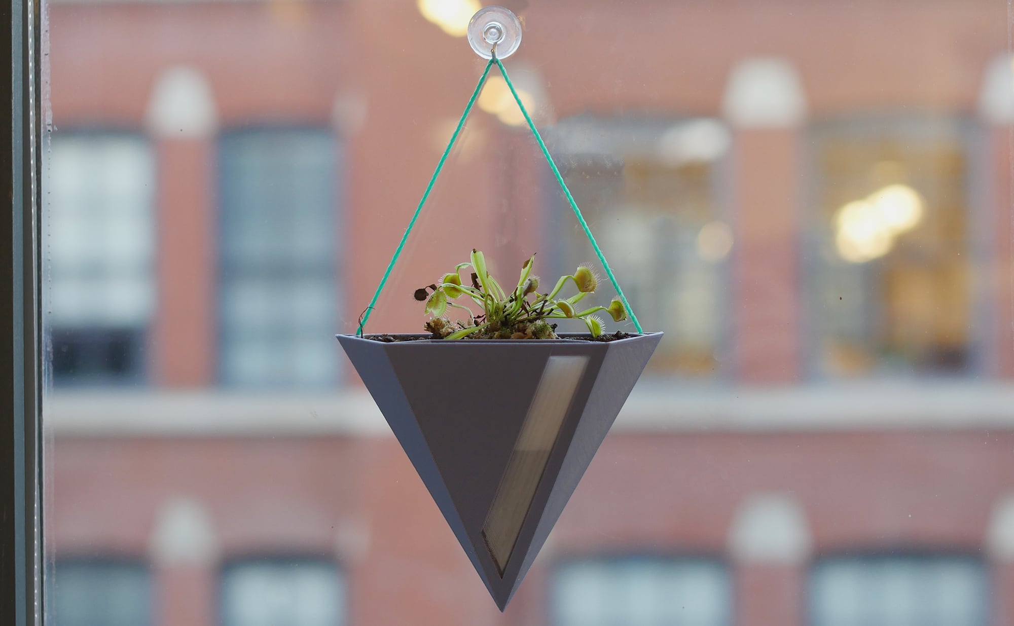 Fuze Hanging Planter