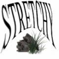 stretchicus