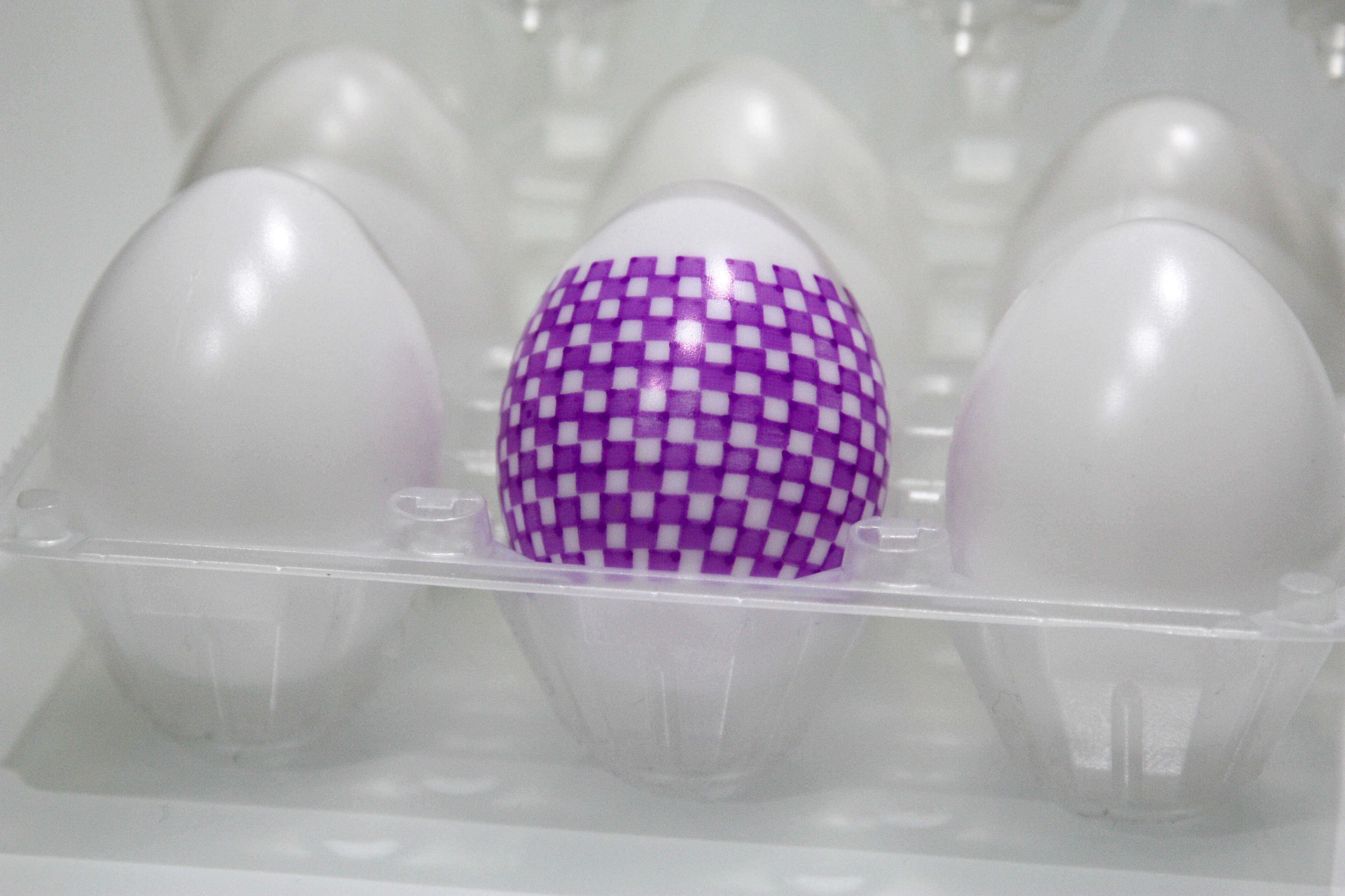 Bandiera-a-Scacchi EGG