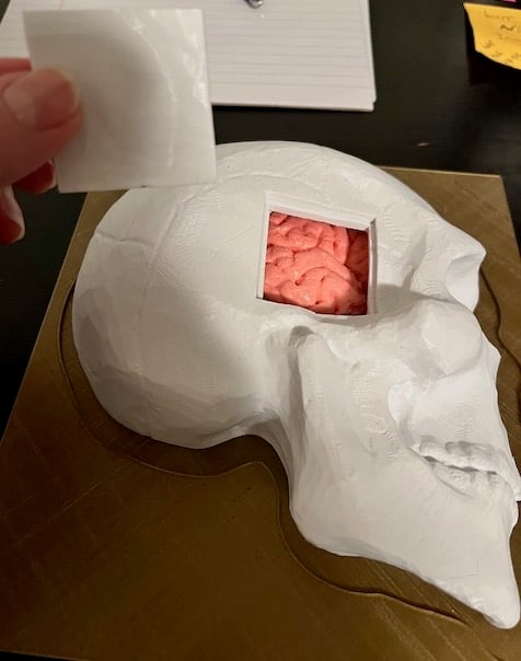 Burr Hole Model