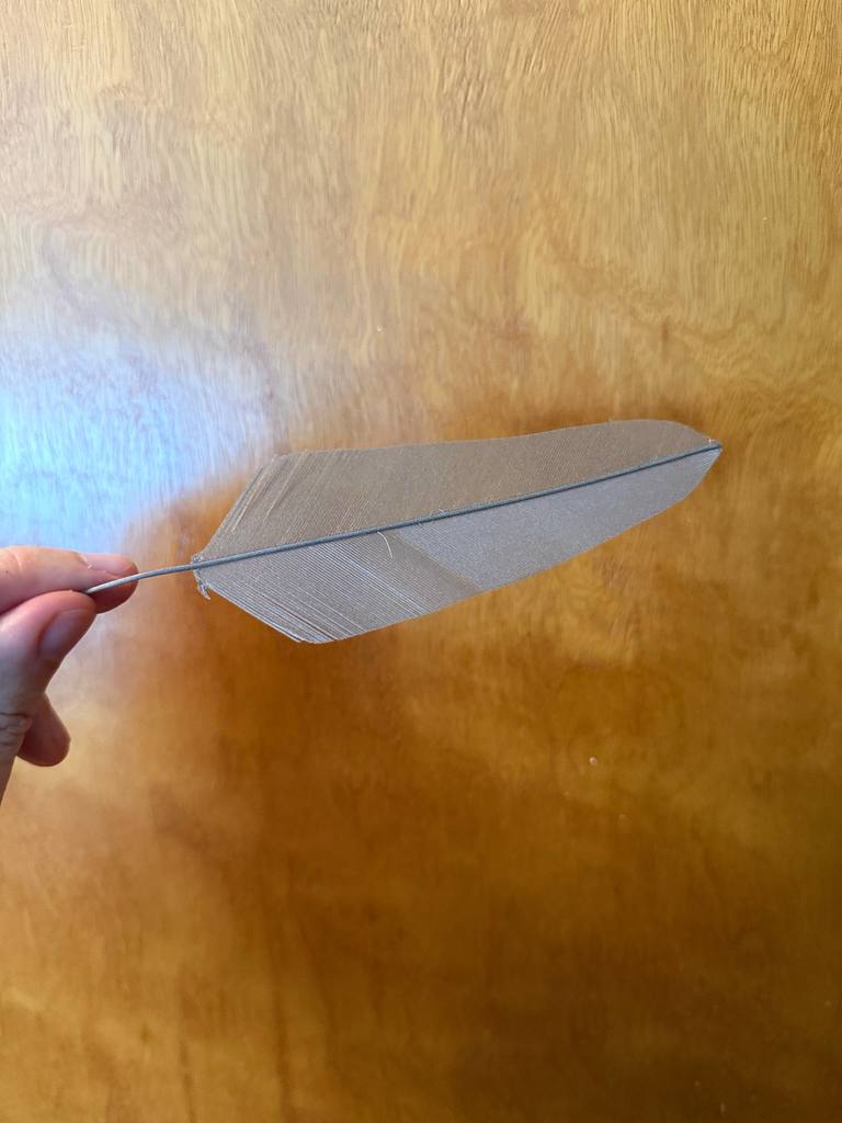 Parametric feather