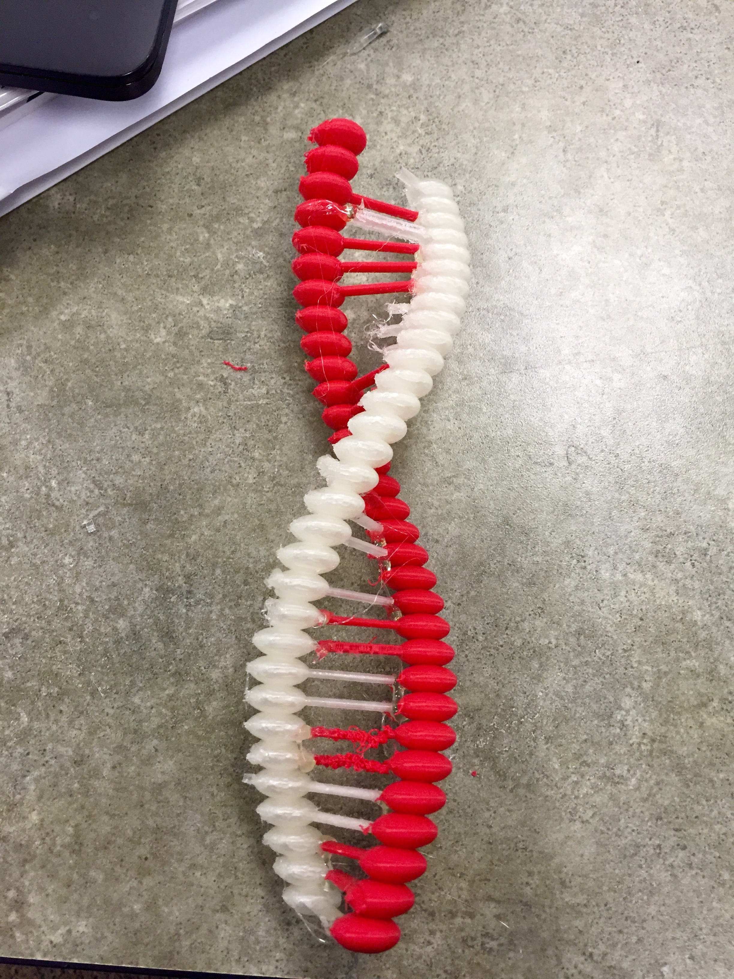 DNA Molecule