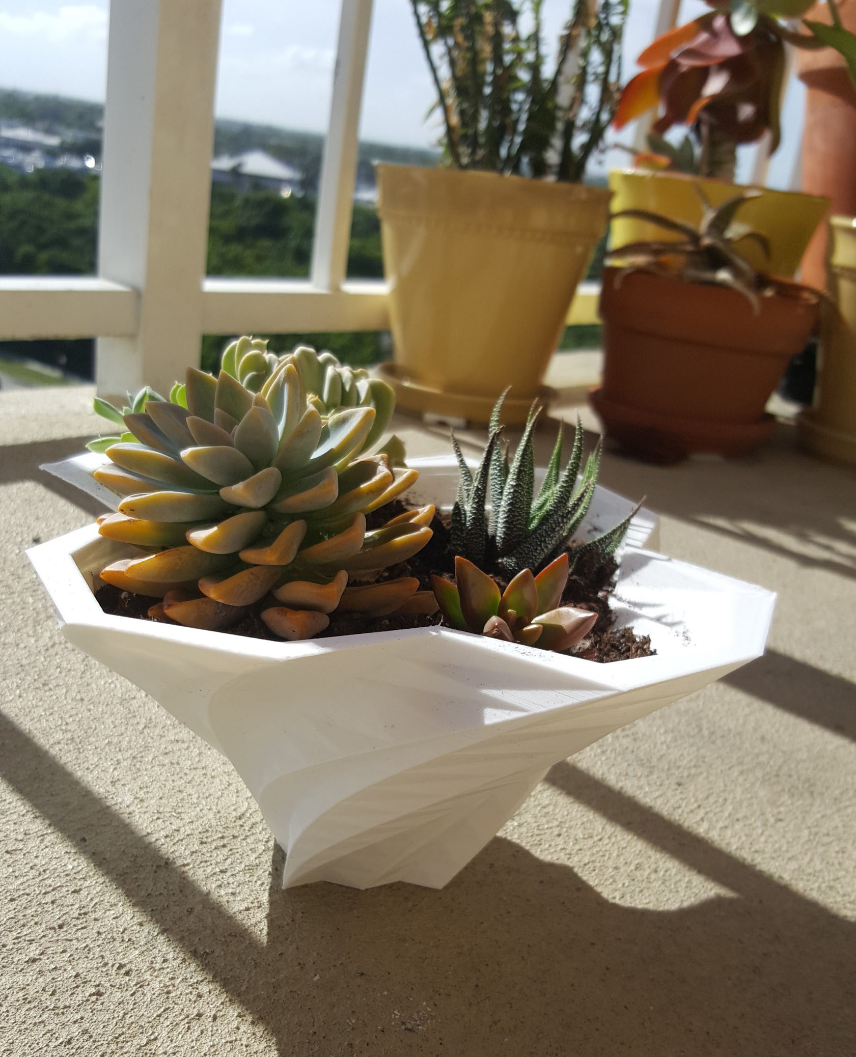 Vase planter geometric