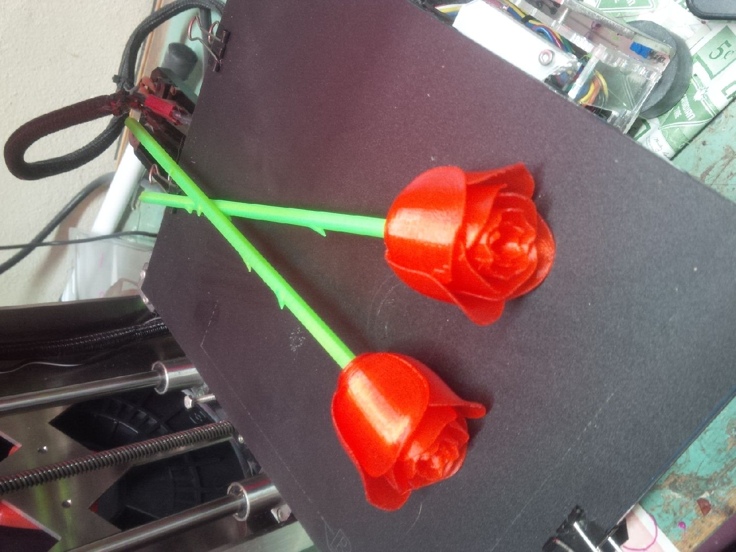 Stem and thorns (for anniversary rose)