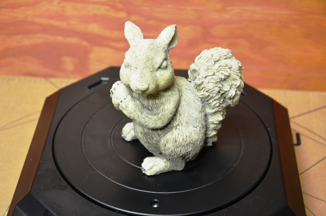 Squirrel