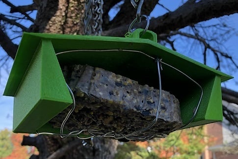Upside down (squirrel proof?) Suet holder/bird feeder