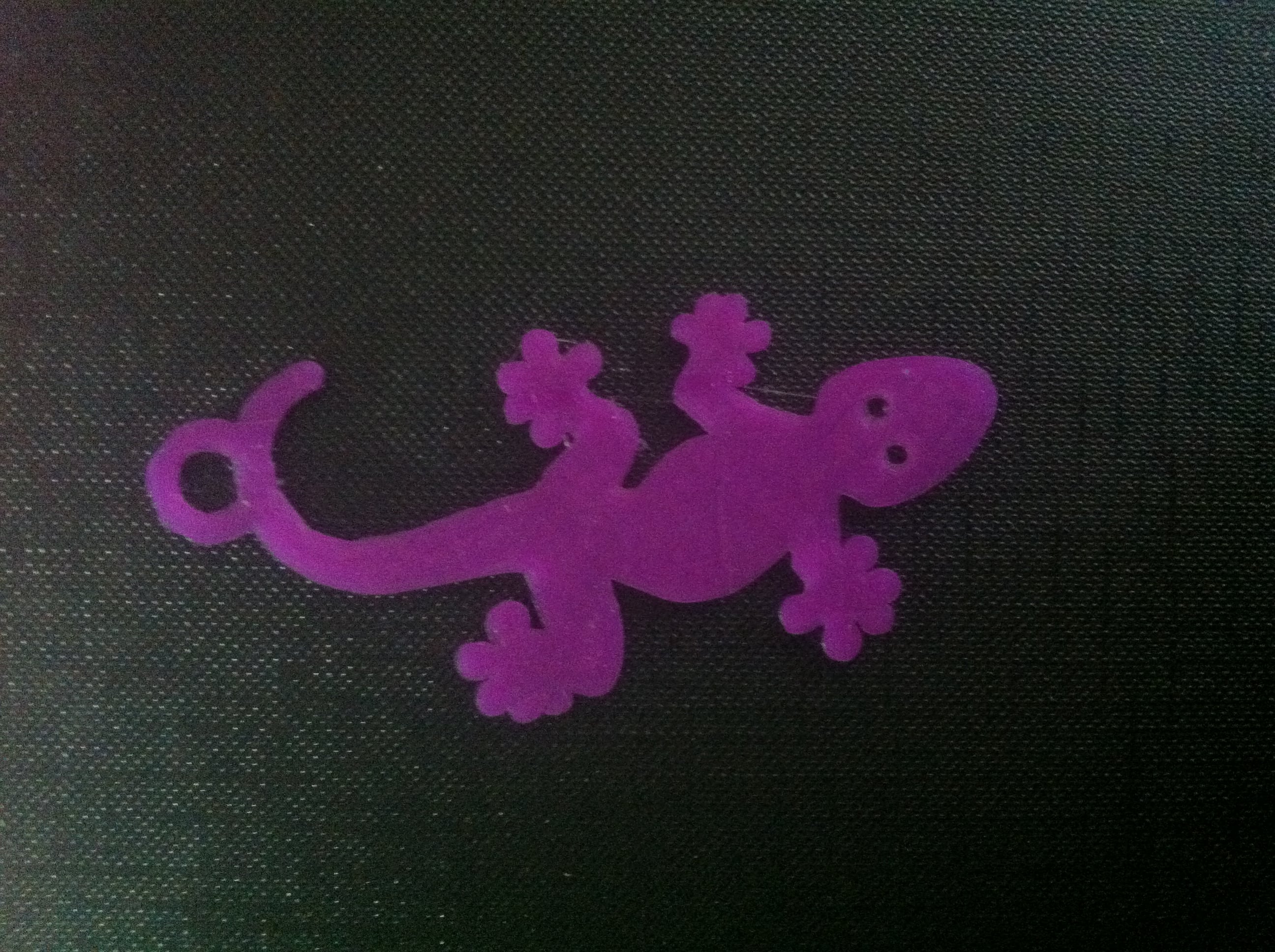 Gecko
