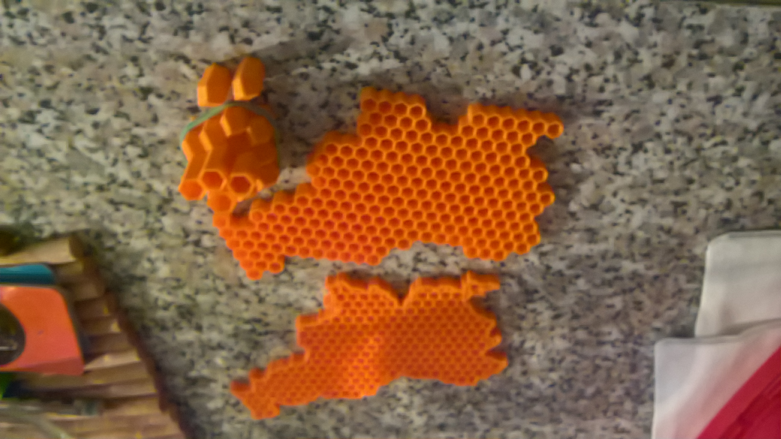 Slovenia as a home of bees