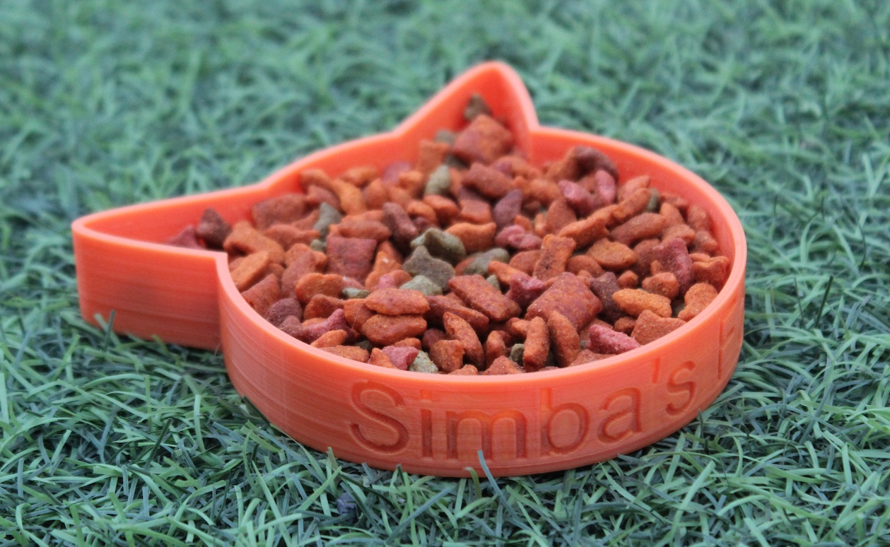 Pet Food Bowl