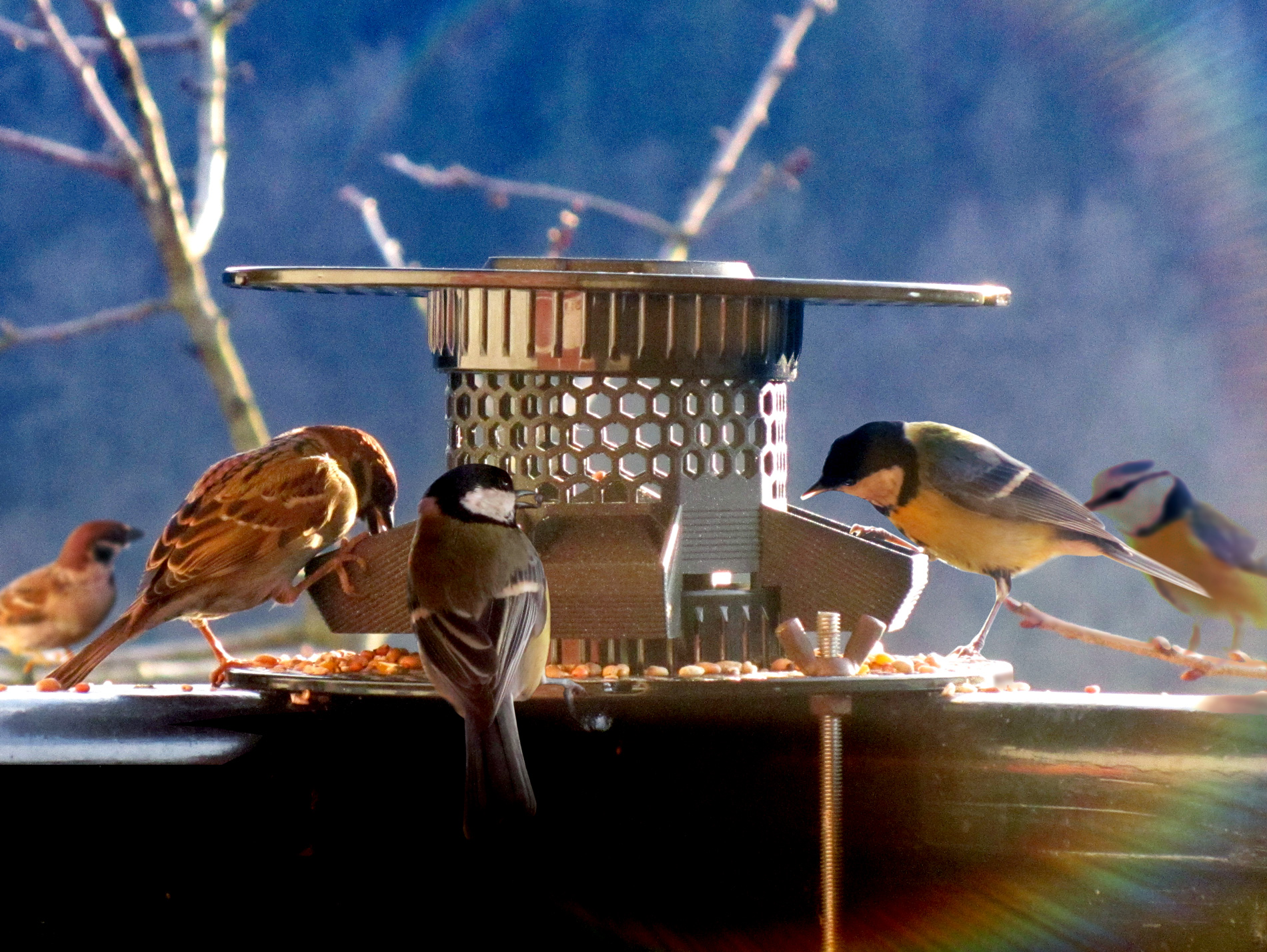 Bird Feeder [prusament spool]