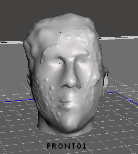 Realistic Zombie Head
