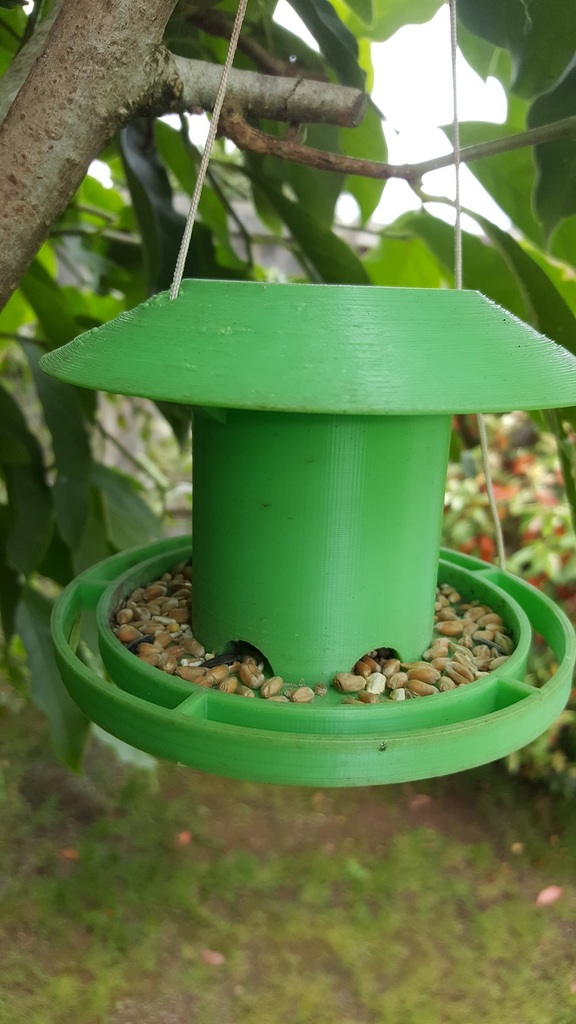 Simple bird seed feeder