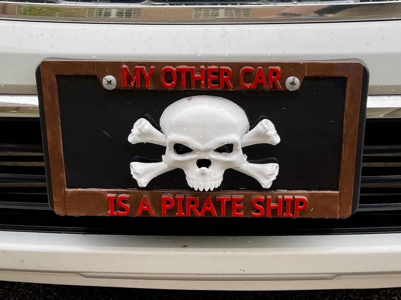 Pirate License Plate