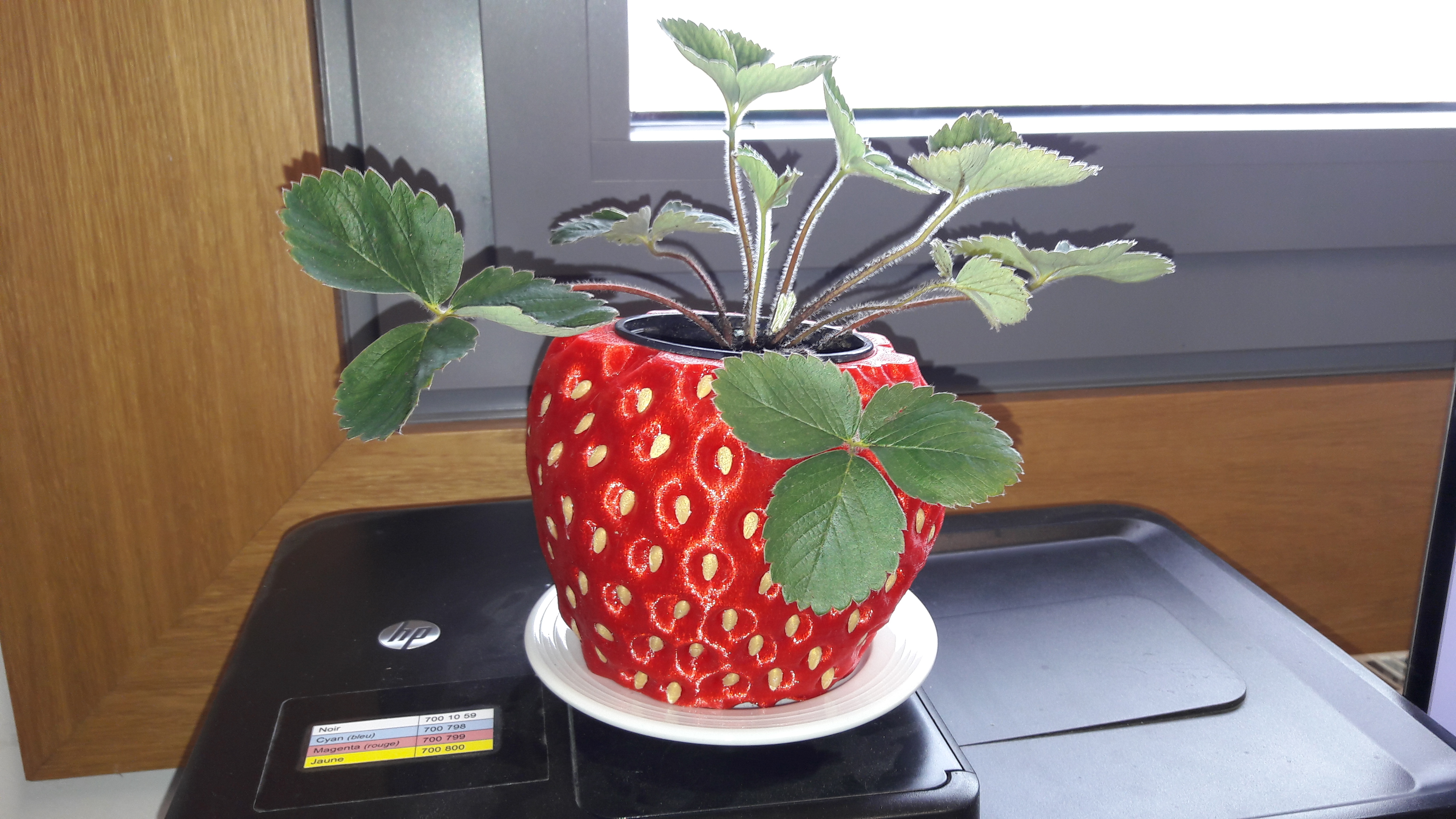 STRAWBERRY-pot holder