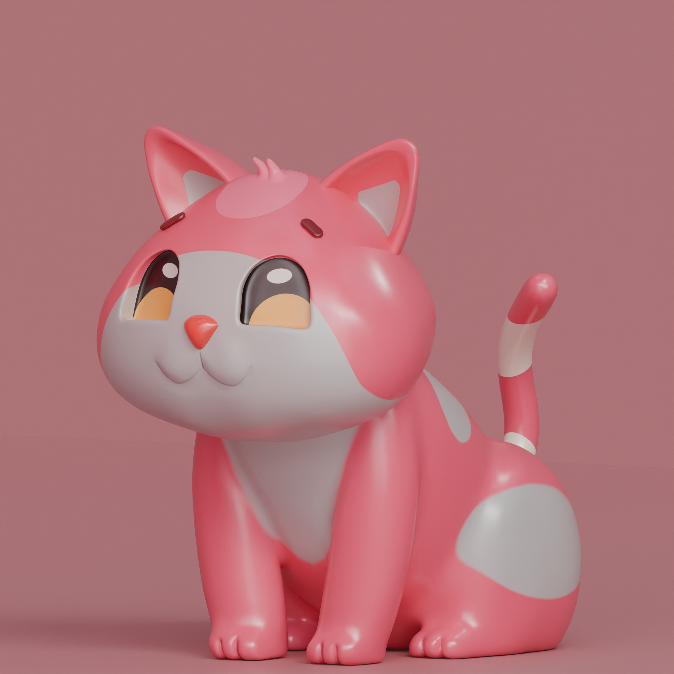 Cute cat