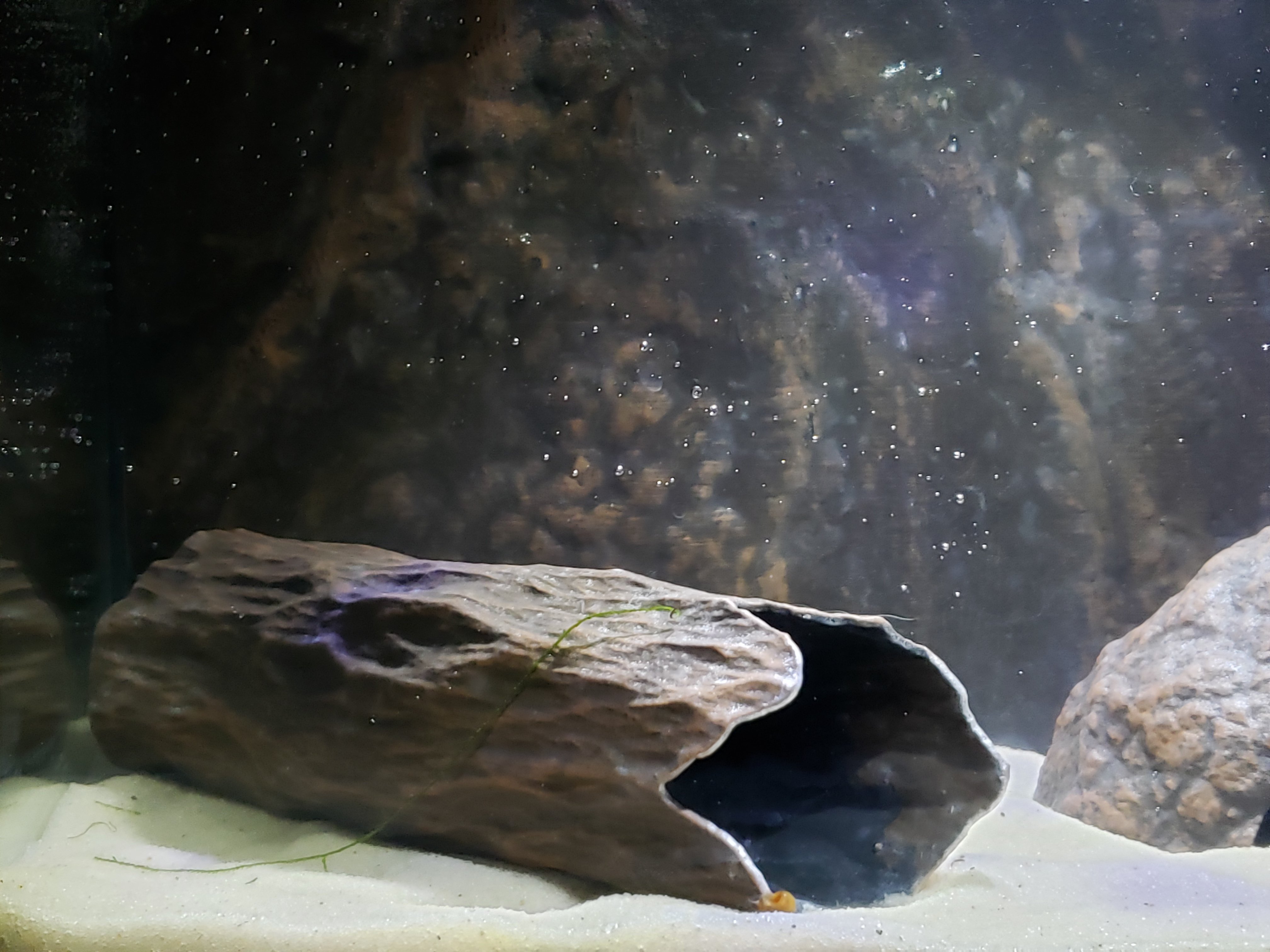 Aquarium Decoration - Wood Textured Cave - Large - Single Entrance
