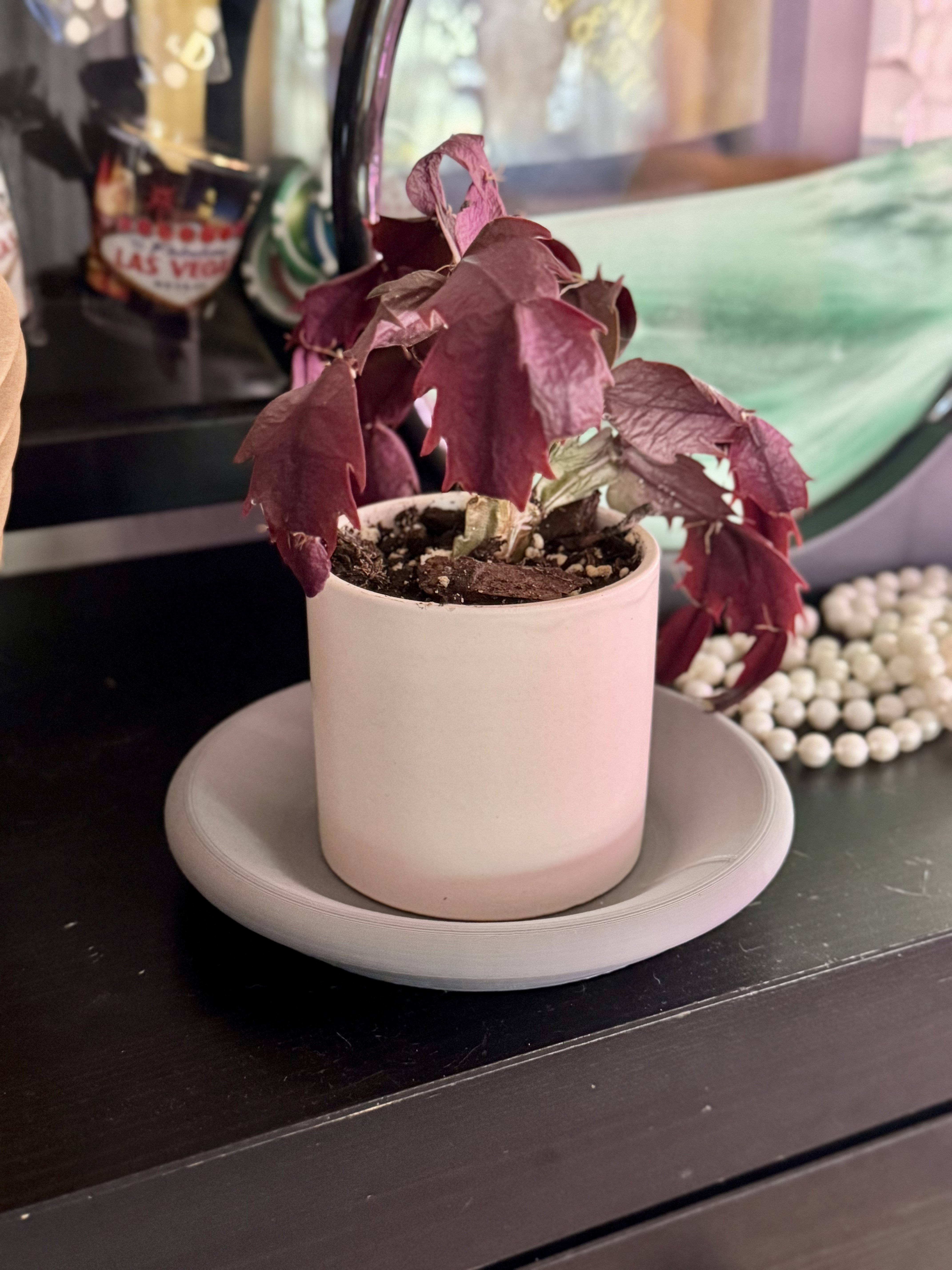 Plant Pot Drip Tray