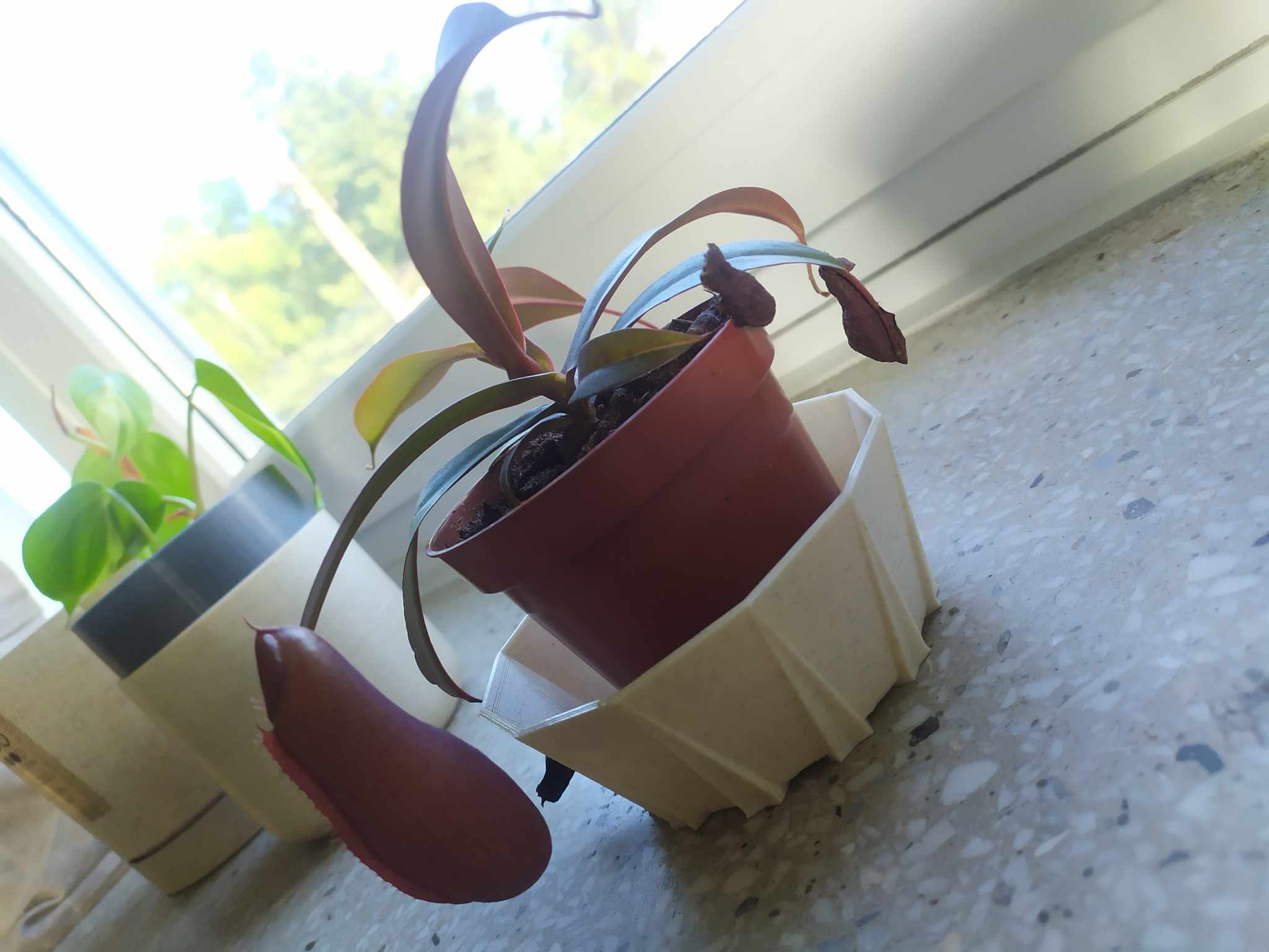 Round Plant Pot Saucer / Pot Plate Flower