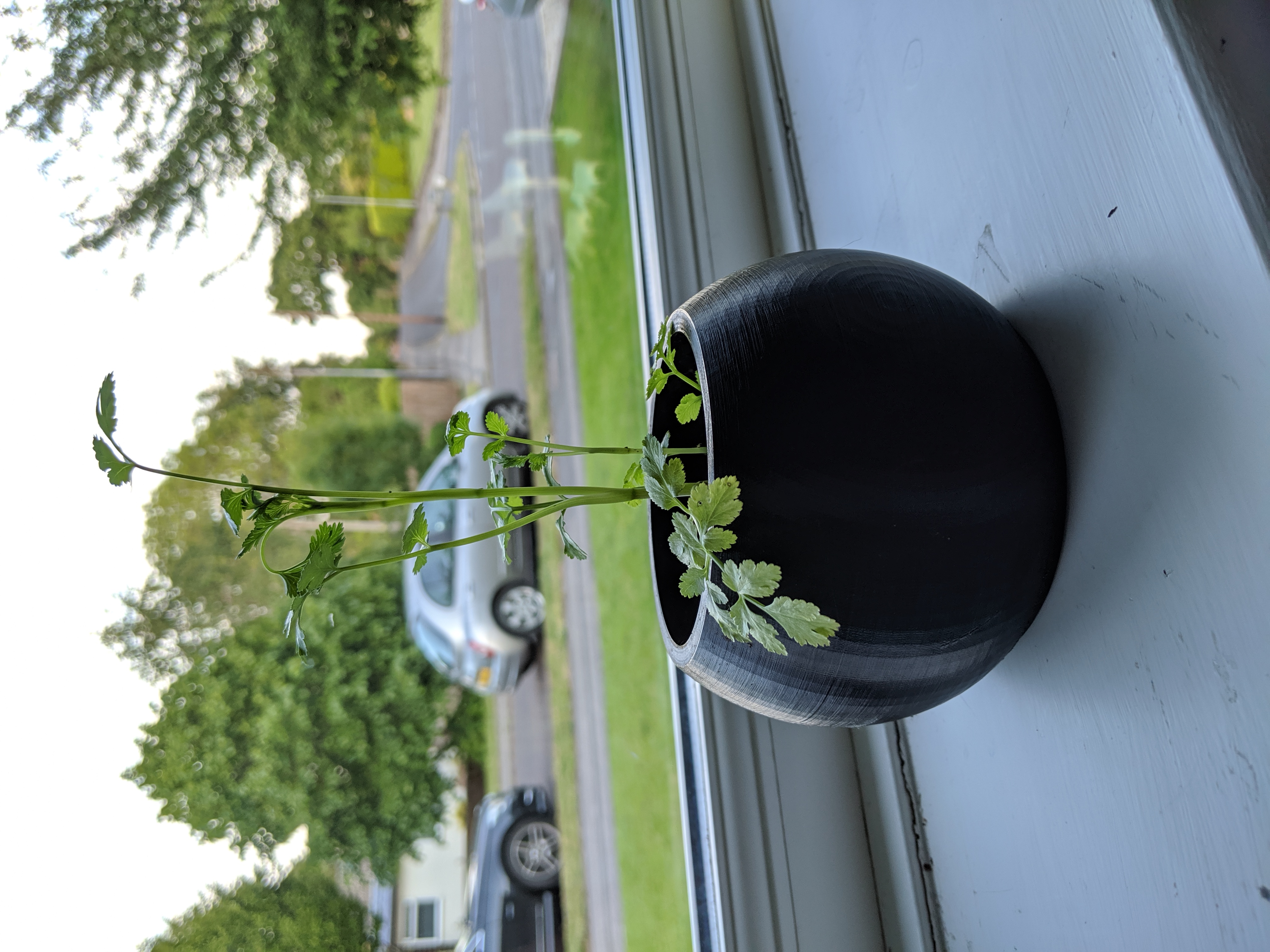 Spherical Plant Pot - Self Watering
