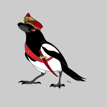 Capt_Magpie