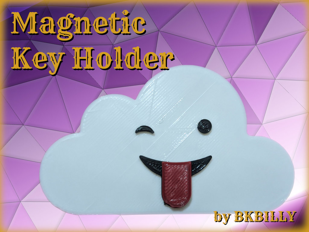 Magnetic face cloud key holder