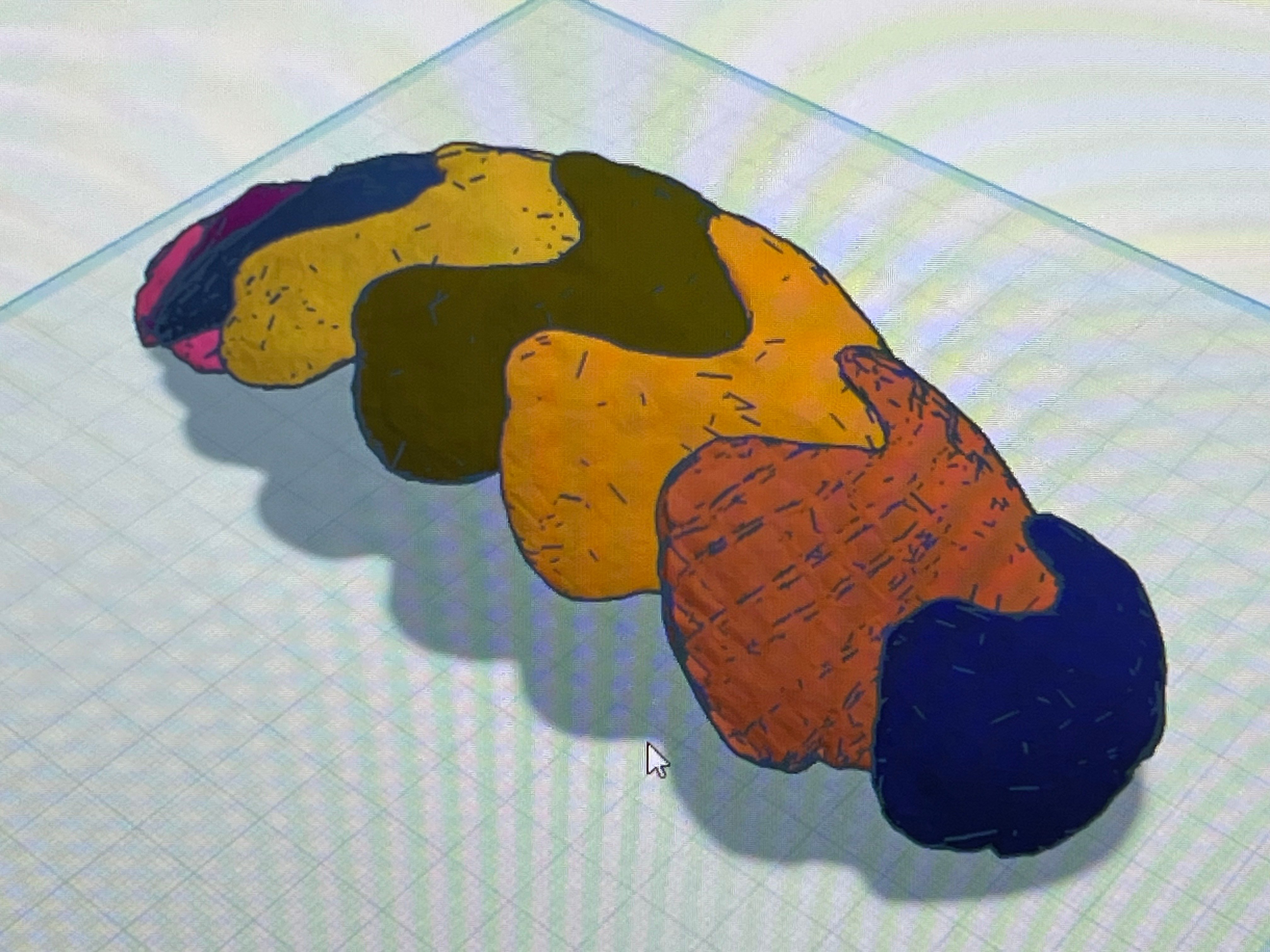 Gumboot Chiton