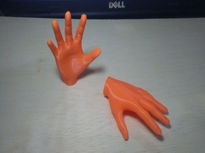 Small hands and legs for fingers 3D model