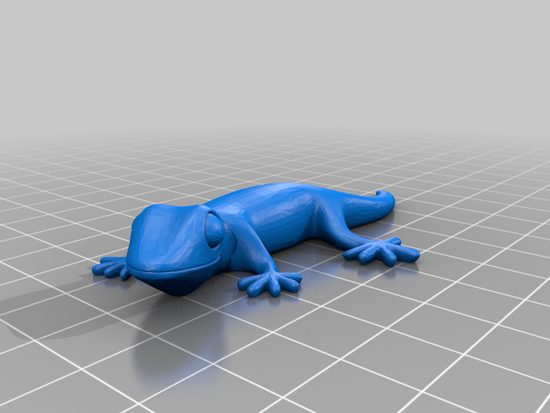 Gecko Magnet
