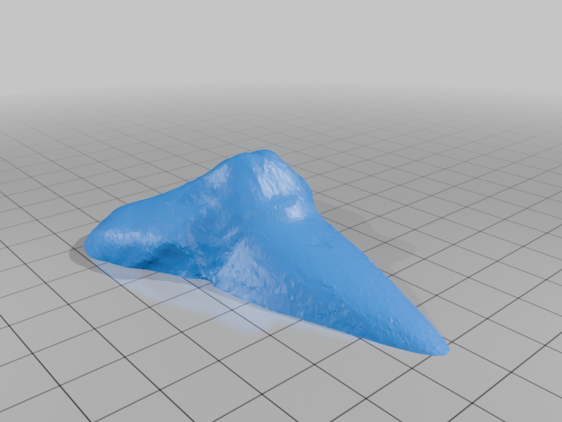 Shark Tooth