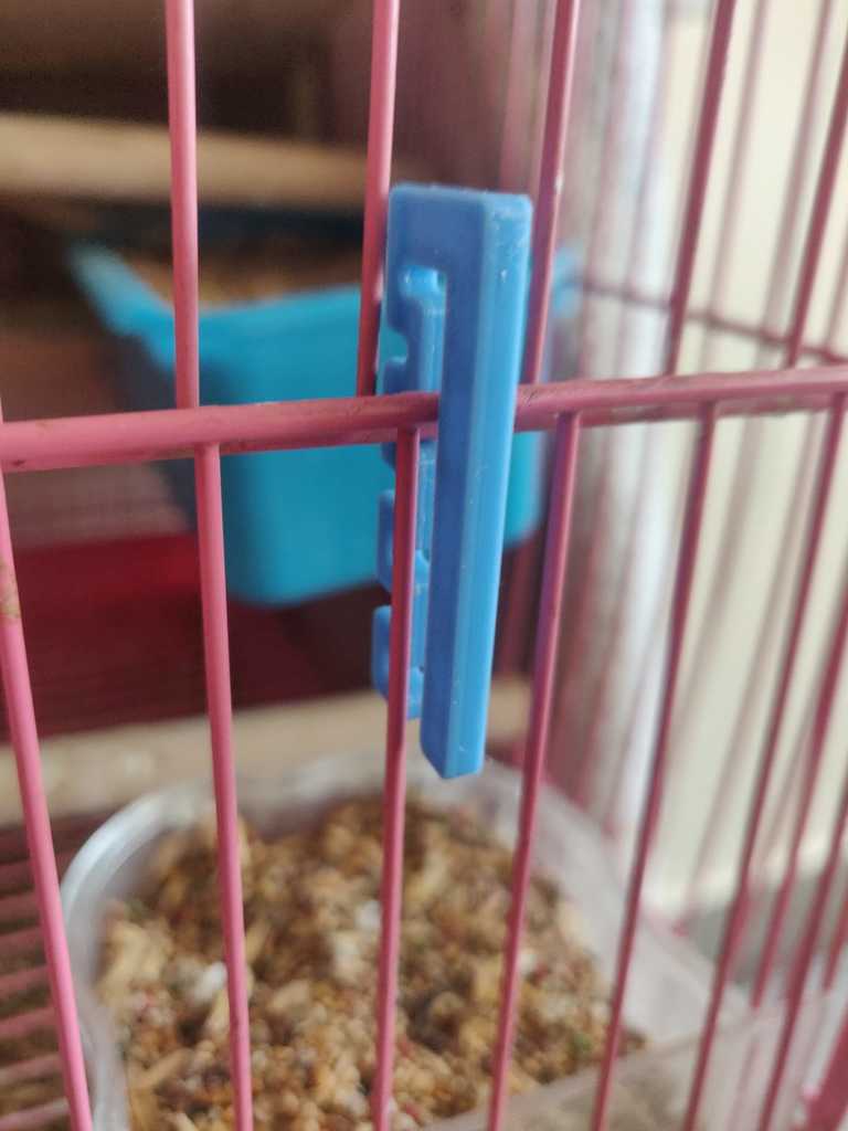 Bird Cage Safety Lock