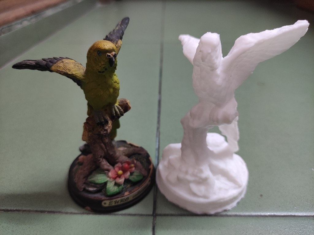 3D Scanned Parrot Model