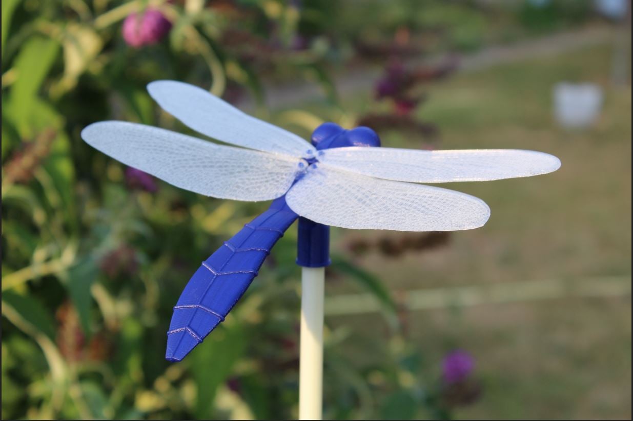 dragon fly body