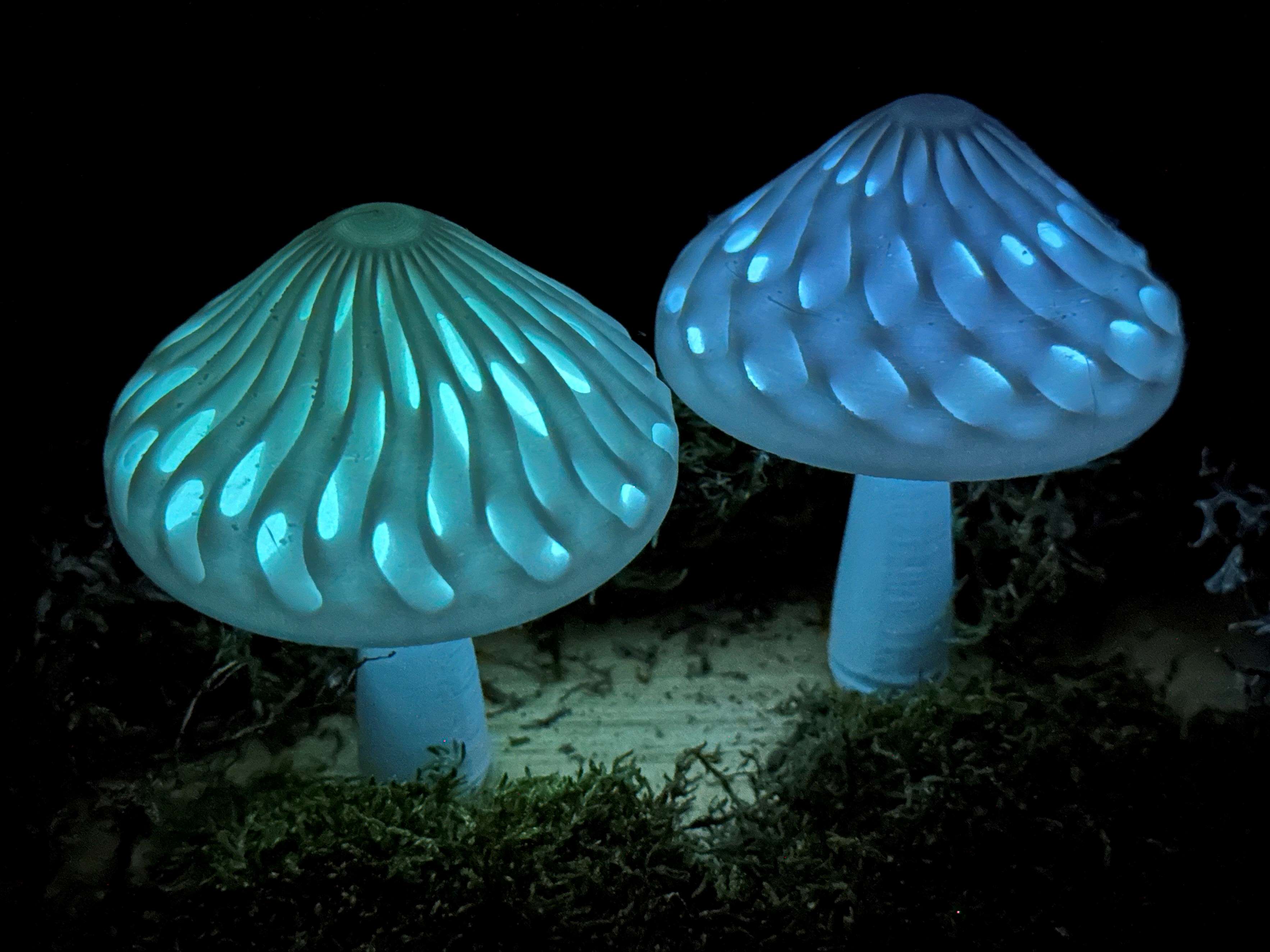 Dual Colour Modular Mushroom Caps (Glow-in-the-Dark)