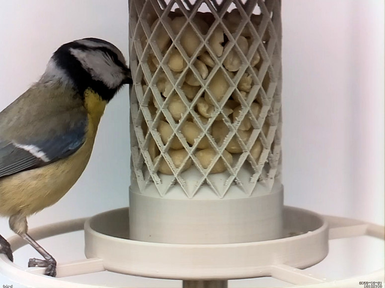 Birdfeeder