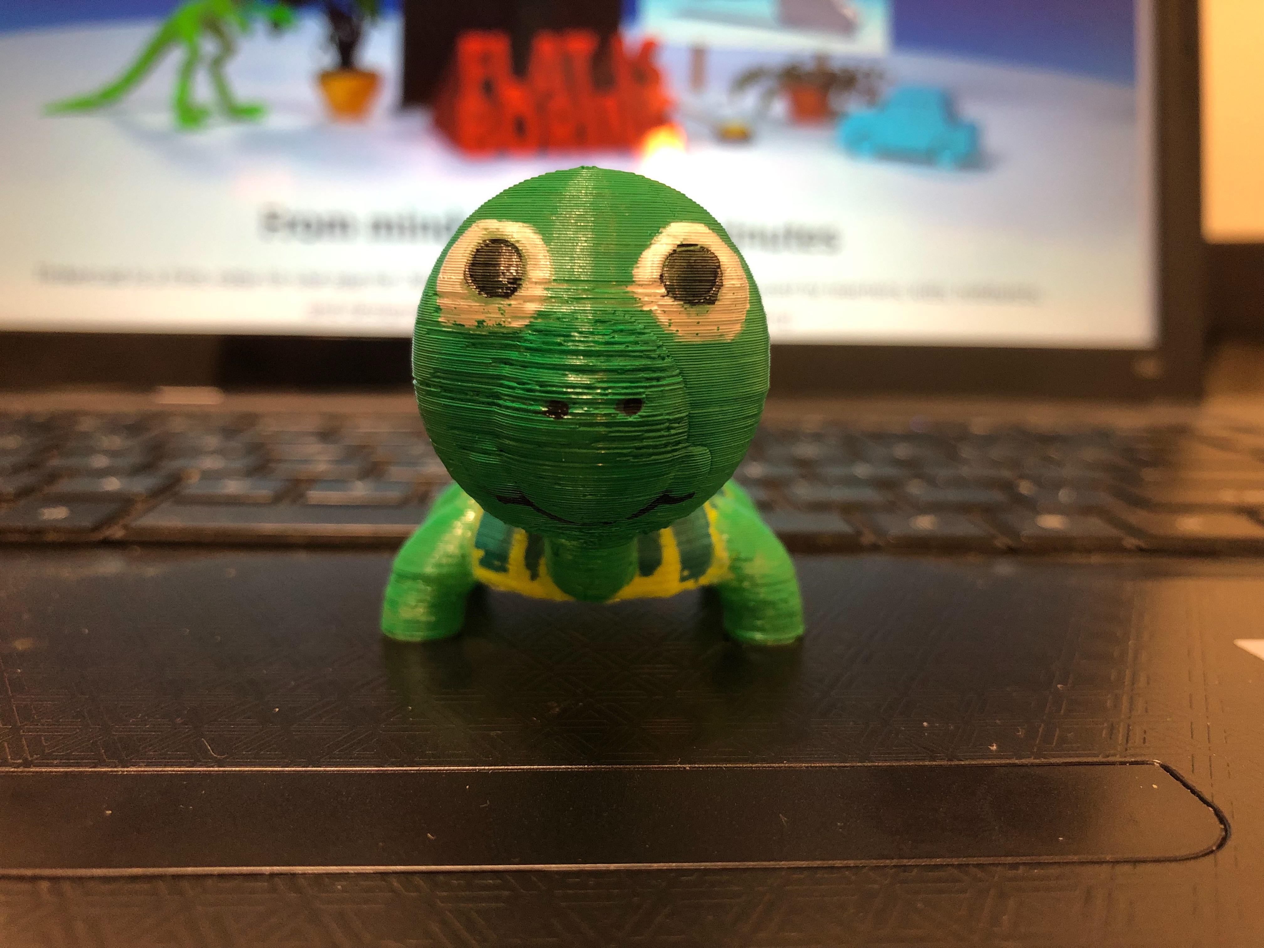 Cute Turtle