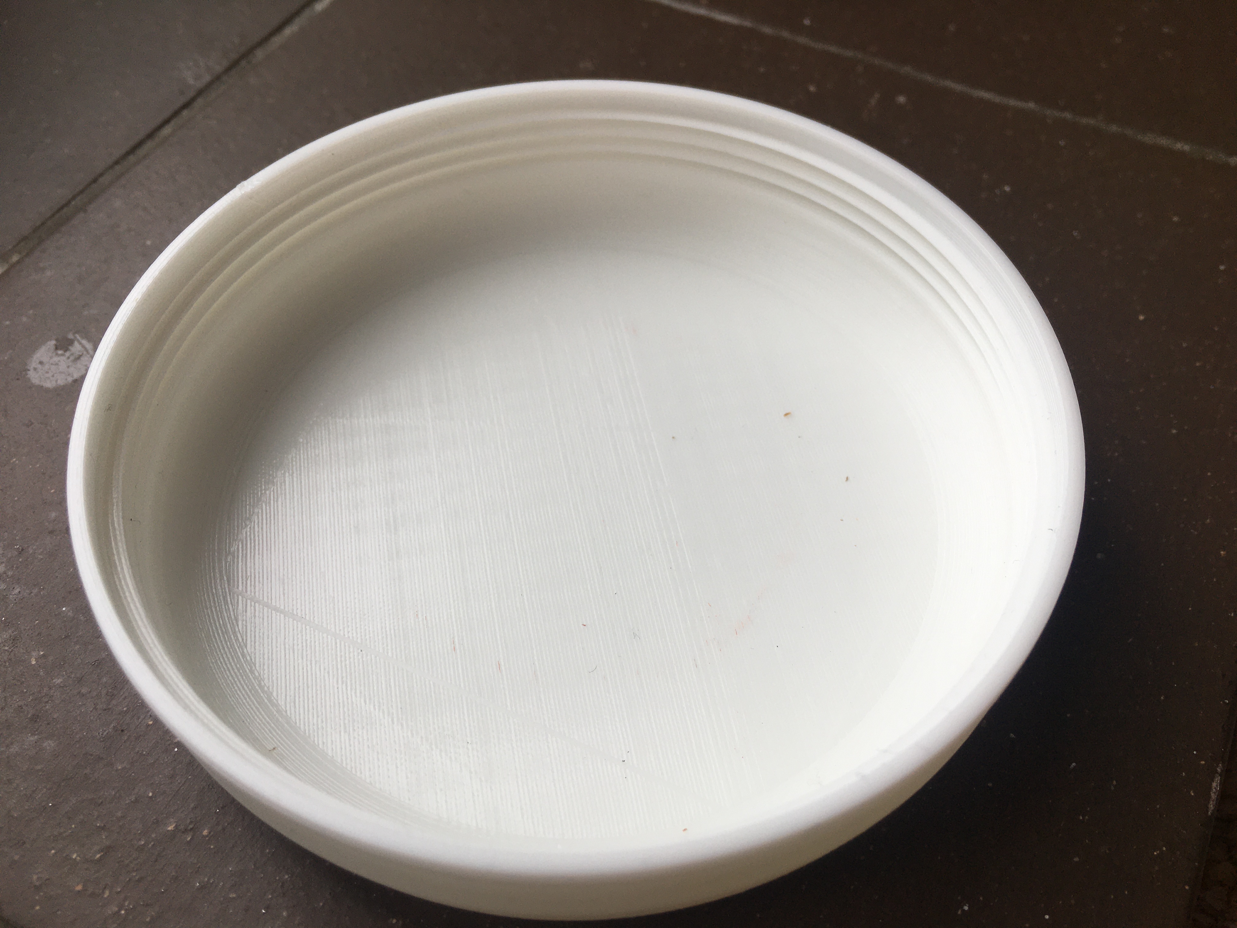 Blank Ceiling Rose