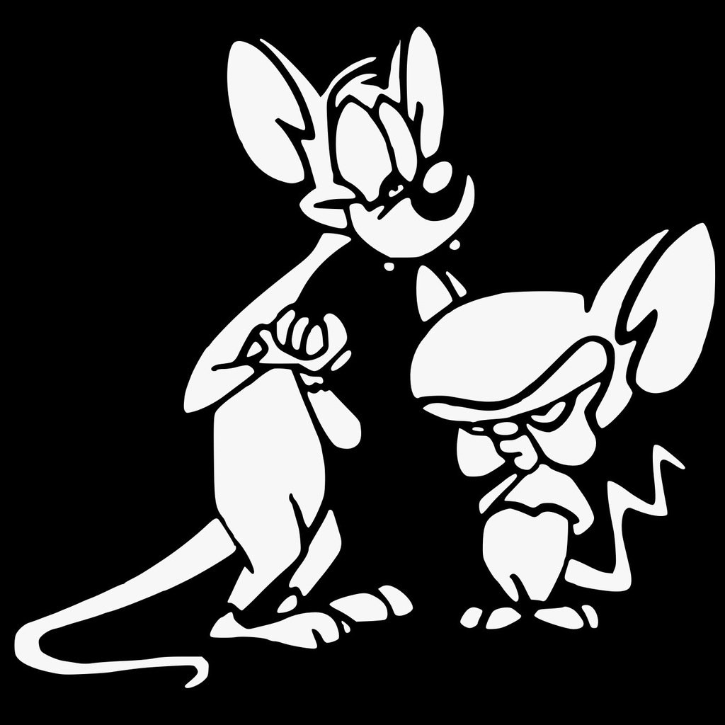 Pinky and the Brain stencil