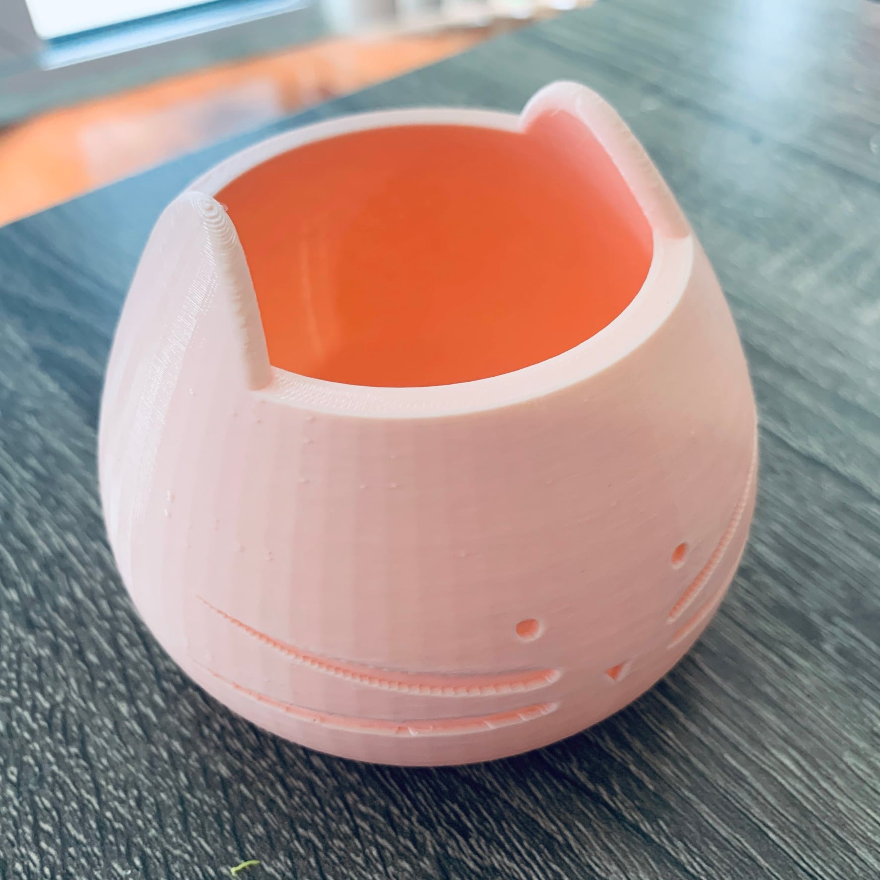 Cat Cactus Pot