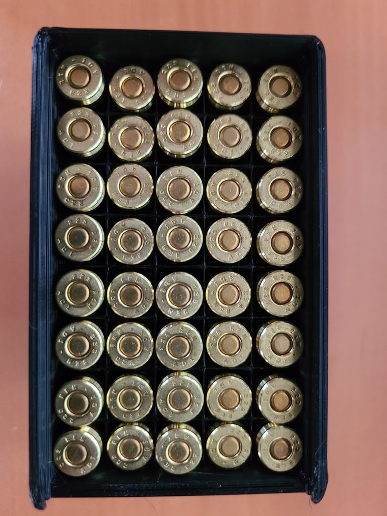 .223/5.56 Ammo Box - 40RND (Fits 50 cal ammo can)