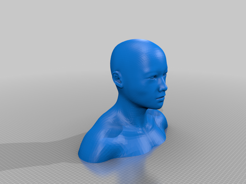 Full bust version Printable mannequin head with shoudlers