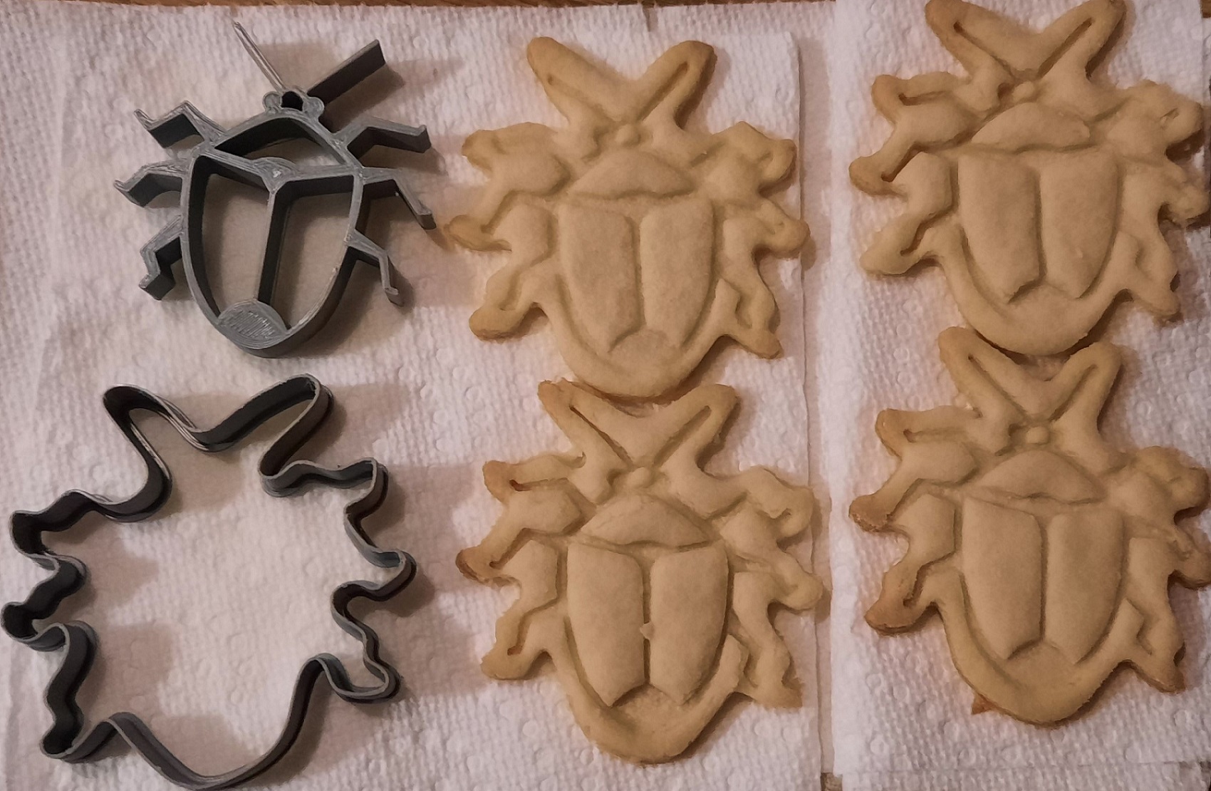Stink Bug Cookie Cutter