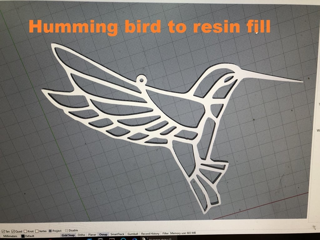 3D printed humming bird to fill with colored resin